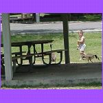 Feeding The Geese.jpg